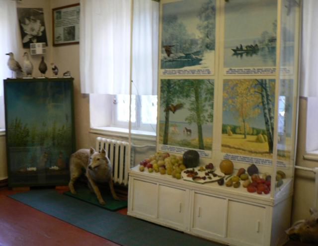 Більше уваги Сосницькому краєзнавчому музею-Дітищу Юрія Виноградського (_7.JPG)